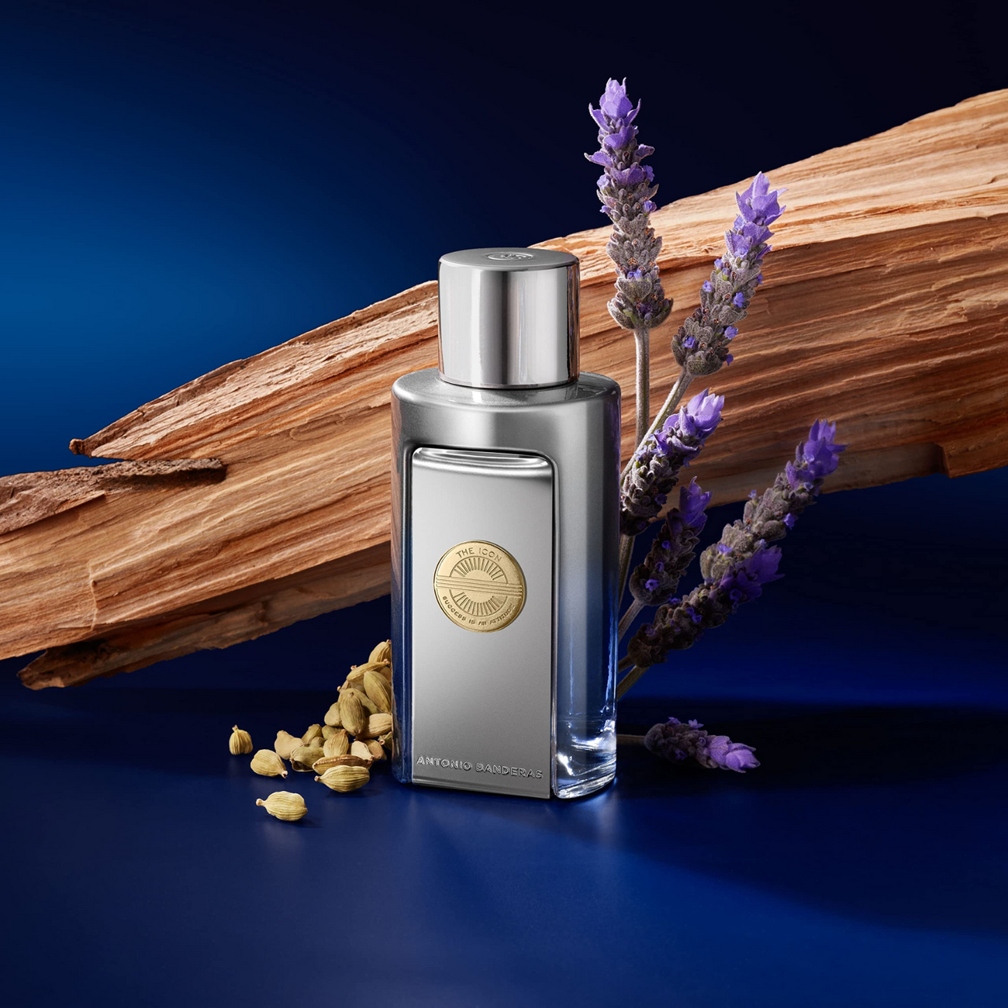 Antonio Banderas The Icon Elixir EDP 100 ML Hombre Original