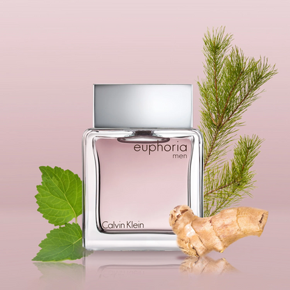 Calvin Klein Euphoria Men EDT 100 ML Hombre Perfume Original
