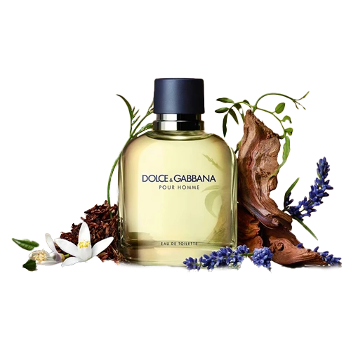 Dolce & Gabbana Pour Homme Classic EDT 125 ML Hombre Perfume Original